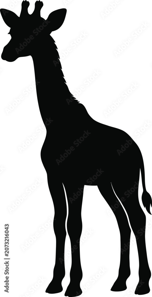 Fototapeta premium Baby Giraffe Standing Silhouette Vector Isolated on White Background