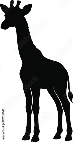 Baby Giraffe Standing Silhouette Vector Isolated on White Background
