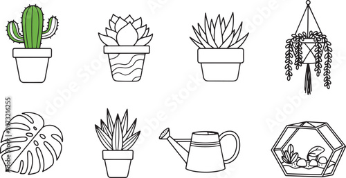 Fotografie Collection of various potted plants.