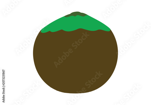 Tropical fresh coconut illustration perfect for food and beverage designs.