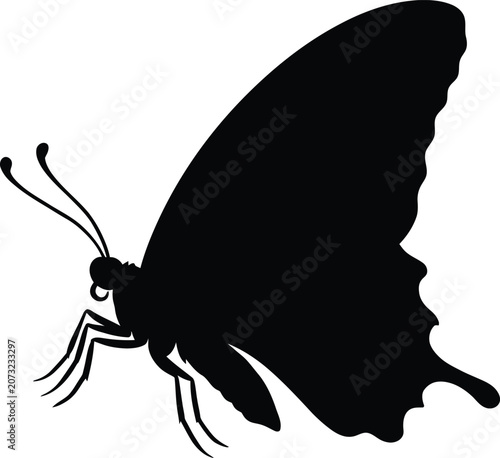 Butterfly side view with closed wings silhouette vector