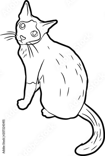 Hand Drawn Sitting Cat