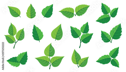  Set of green, black, hibiscus tea packaging in cartoon style. Vector illustration of various tea banners, teapots with cups, leaves, lemon slices, hibiscus flower isolated on white background.
