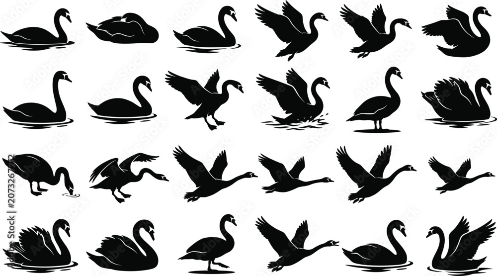 Fototapeta premium Swan and Goose Silhouette Collection Featuring Swimming Flying Landing and Waterfowl Wildlife Poses