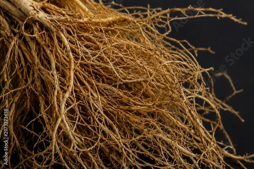 Fotografie A dense cluster of vetiver grass roots, intricate and detailed on a dark background
