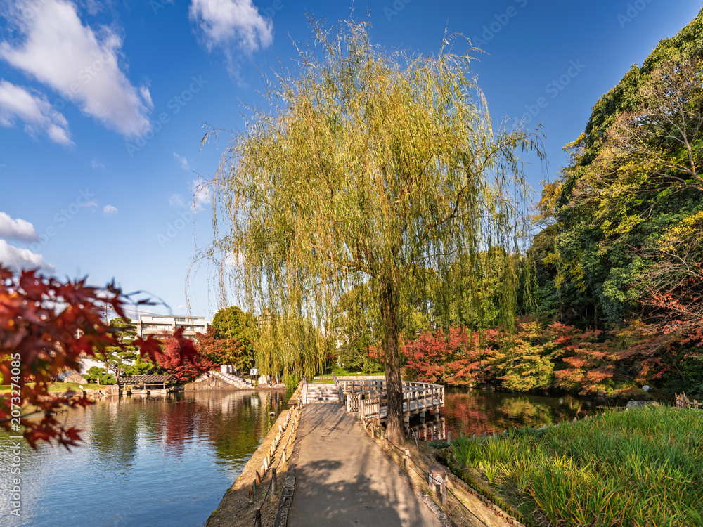 Obraz premium 日本德川園4