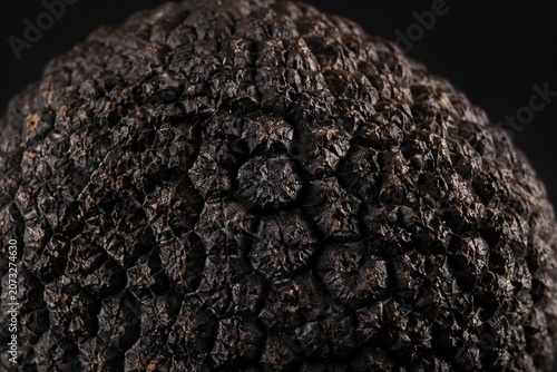 Extreme close-up of a fresh black truffle's textured surface.