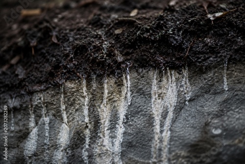 Rainwater seeping through dark soil, leaving pale streaks on a grey rock surface.