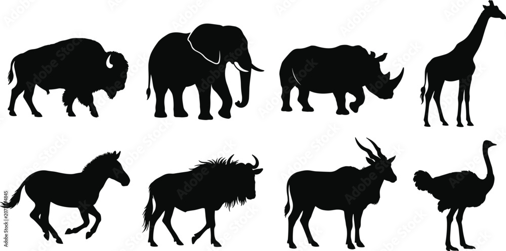 Fototapeta premium African Wildlife Animal Silhouette Set with Safari Mammals and Bird Species