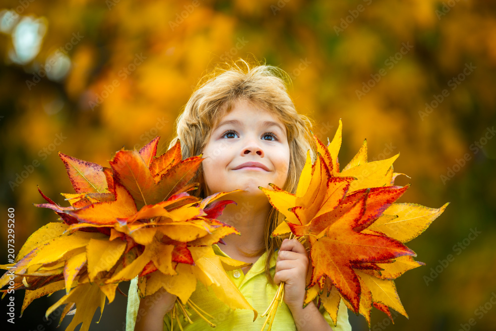 Fototapeta premium Autumn child with maple foliage. Autumn child holds bouquet. Blond kid keeps one leaf. Happy kid portrait outdoors.