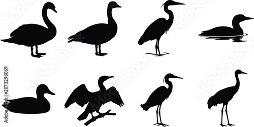 Tableau sur toile Water birds and waterfowl silhouette set featuring swan duck goose crane and her