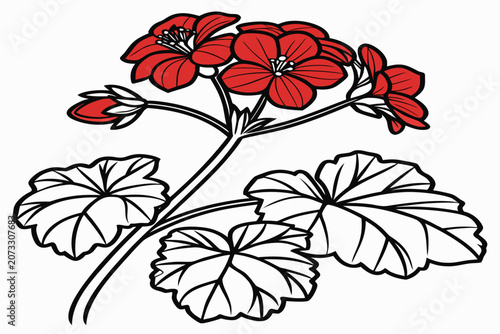 Obraz na płótnie coloring page line art the red begonia flower black vector