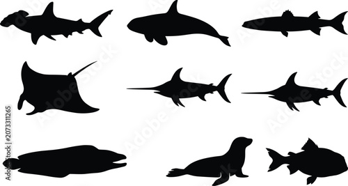 Black Silhouette Icons of Marine Animals and Ocean Wildlife