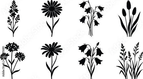 Black Silhouette Icons of Flowering Plants and Botanical Forms