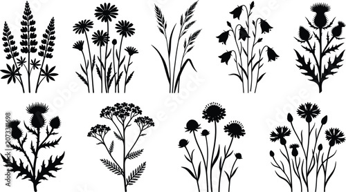 Black Silhouette Icons of Wildflowers and Botanical Plants