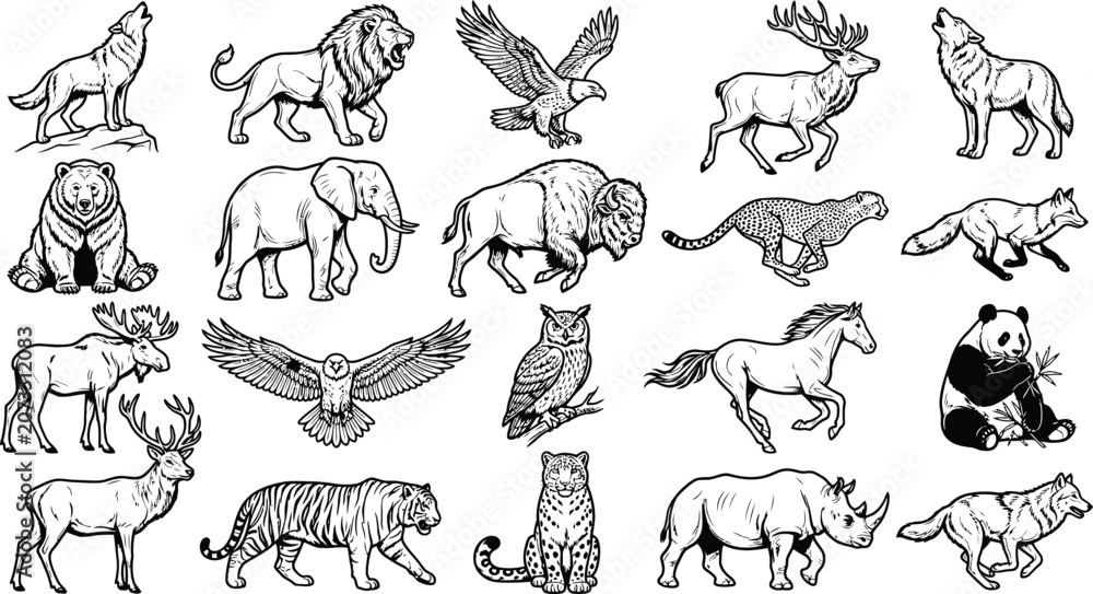 Εκτύπωση καμβά A collection of 20 detailed vector outlines of majestic wild animals