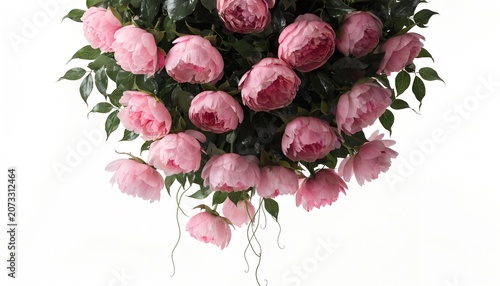 Beautiful bouquet of pink peony flowers