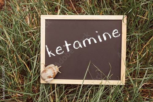Snail Crawling Near Chalkboard Sign with Ketamine