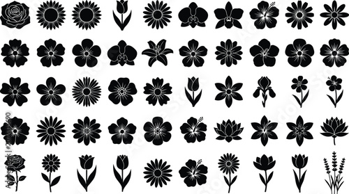Obraz na plátne Black and white floral and leaf arranged in a seamless pattern floral leaf seaml