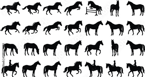 Schilderij op canvas Black and white of a diverse herd of running horses animal animals equine