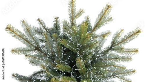 Green christmas tree branches decorated with bright fairy lights