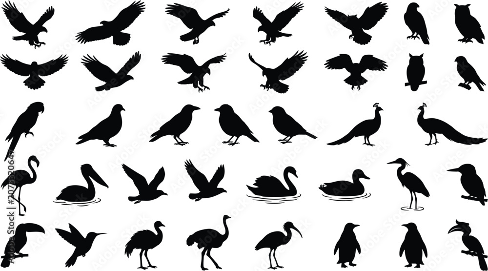 Fototapeta premium Black silhouette of various birds in flight, isolated on white background, bird flying birds, bird shapes