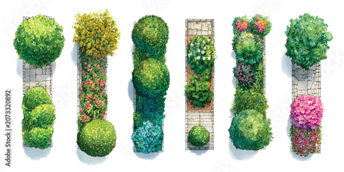 Linear planter box and path walkway, top view orthographic site plan set watercolor 