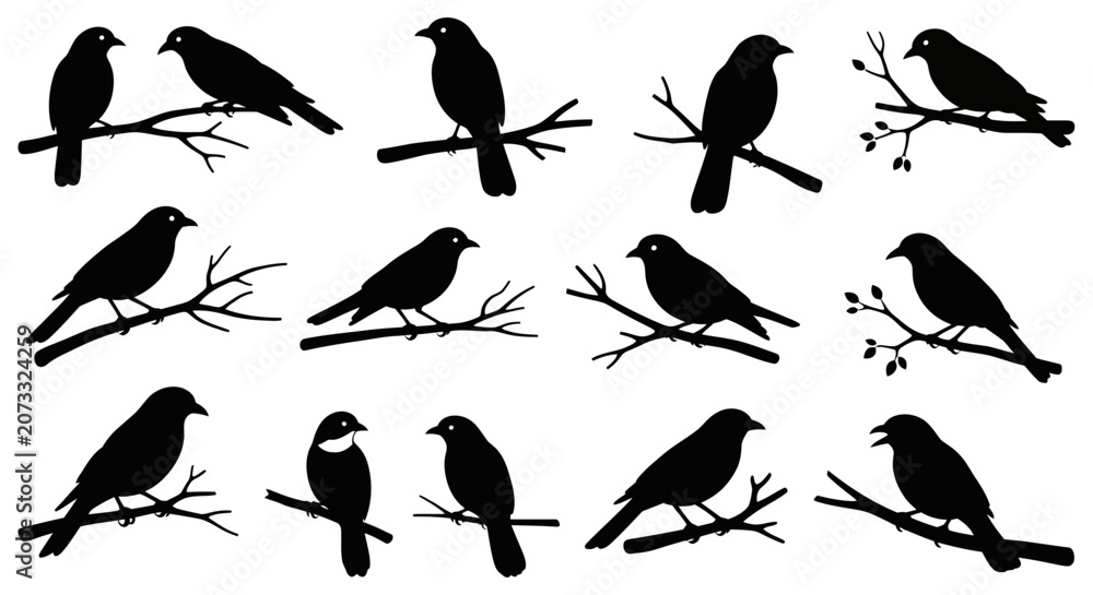 Fototapeta premium Black silhouettes of birds perched on bare tree branches