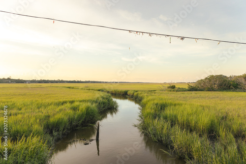 Obraz na płótnie The Marsh at St. Simons Island