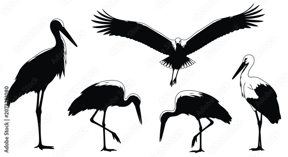 Fototapeta premium Stork silhouettes in various poses black and white illustration silhouette