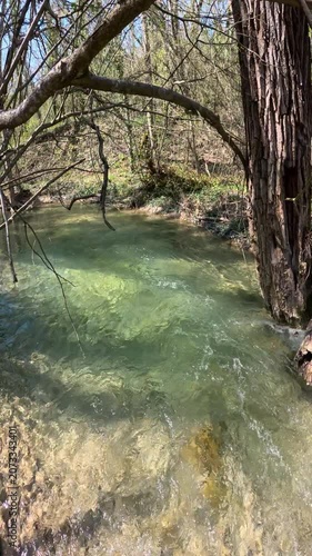 Walking on crystal transparent river in sunny forest, vertical footage