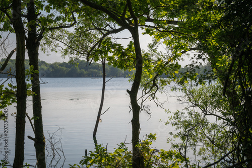 Mercers Lake near Merstham, Surrey, UK. View through trees to the cool waters of the lake.