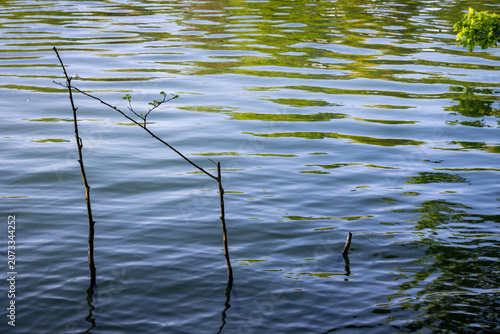 Ripples and reflections on the surface of the water at Mercers Lake near Merstham, Surrey, UK.