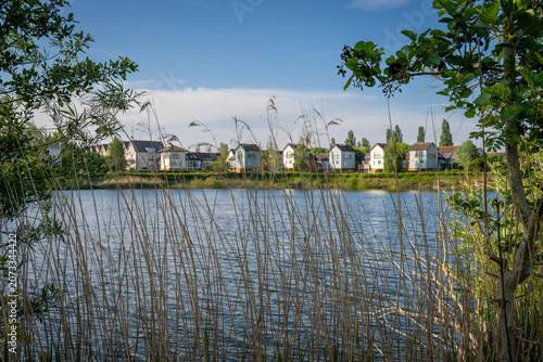 A modern housing development next to the Holmethorpe Lagoons in Mersham, Surrey, UK. Trees and reeds in the foreground. Landscape orientation.