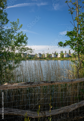 A modern housing development next to the Holmethorpe Lagoons in Mersham, Surrey, UK. Trees, reeds and fence in the foreground. Portrait orientation.