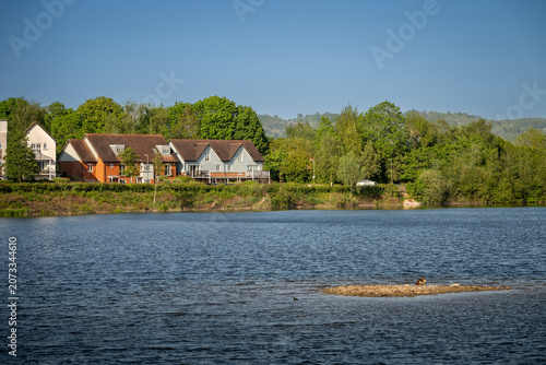 A modern housing development next to the Holmethorpe Lagoons in Mersham, Surrey, UK. Ducks are on a small island in the foreground.