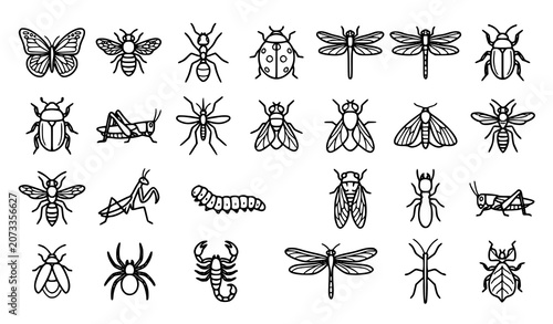 Cuadro en lienzo Insect Icon Set Isolated on White Background with Bee Butterfly Ant and Wildlife