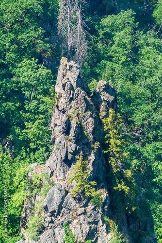 Felsformationen und Flora im Harz bei Thale, Deutschland