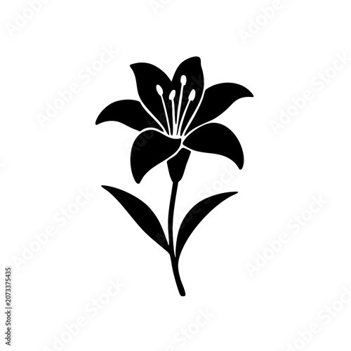 black lily flower stem silhouette isolated on white background for creative designs