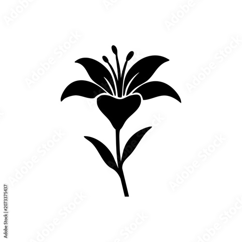 black lily flower stem silhouette isolated on white background for creative designs