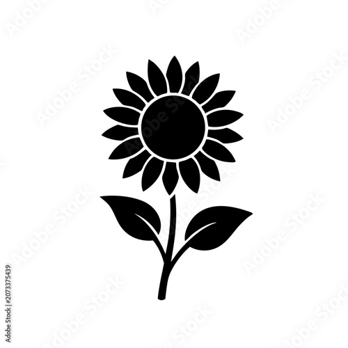 black sunflower stem silhouette isolated on white background for creative designs