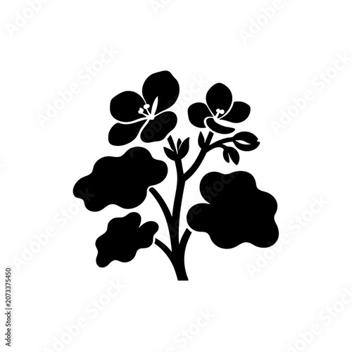 black geranium flower branch silhouette isolated on white background for creative designs