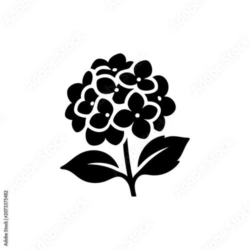 black hydrangea flower bunch silhouette isolated on white background for creative designs