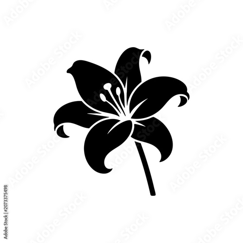 black lily flower branch silhouette isolated on white background for creative designs