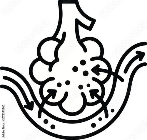 Detailed black and white vector graphic illustration depicting the human lung alveoli gas exchange process with clear directional arrows for medical and educational science projects