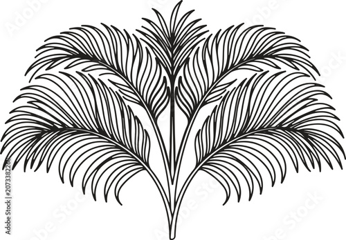 Symmetric Black and White Palm Fronds Leaf Silhouette Branch Frame Design Vector