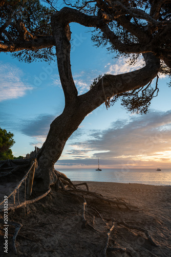 Beautiful sunrise over Mallorca, yacht in bay