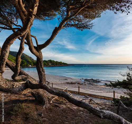 Calm morning on sandy beach at Mallorca