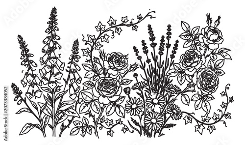 Vintage botanical garden border vector, hand drawn wildflower line art with roses and foxgloves, black and white floral engraving illustration