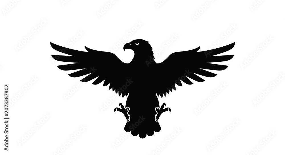 Fototapeta premium Eagle silhouette on transparent background high quality professional